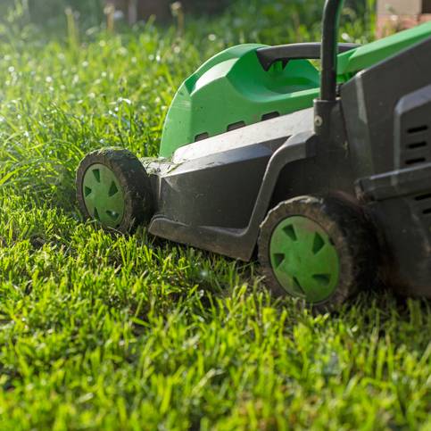Lawn Care